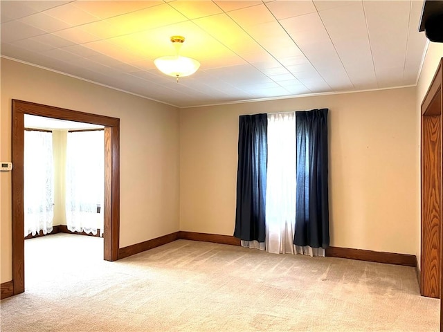 231 Center St, Slippery Rock Boro, PA 16057 - empty room with light colored carpet, plenty of natural light, crown molding, and radiator