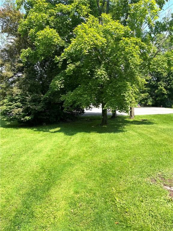 231 Center St, Slippery Rock Boro, PA 16057 - view of grassy yard