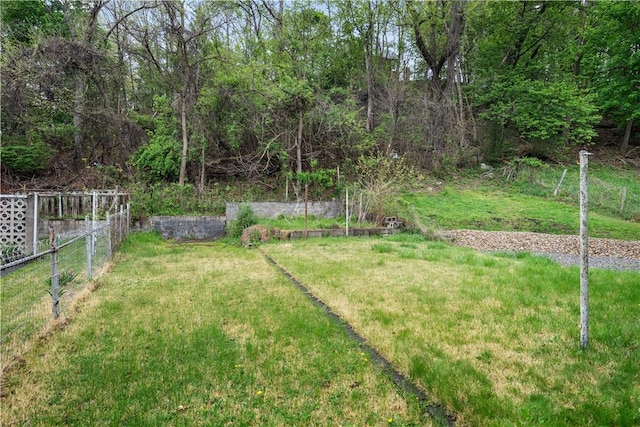 903 11th St, Ambridge, PA 15003 - view of yard
