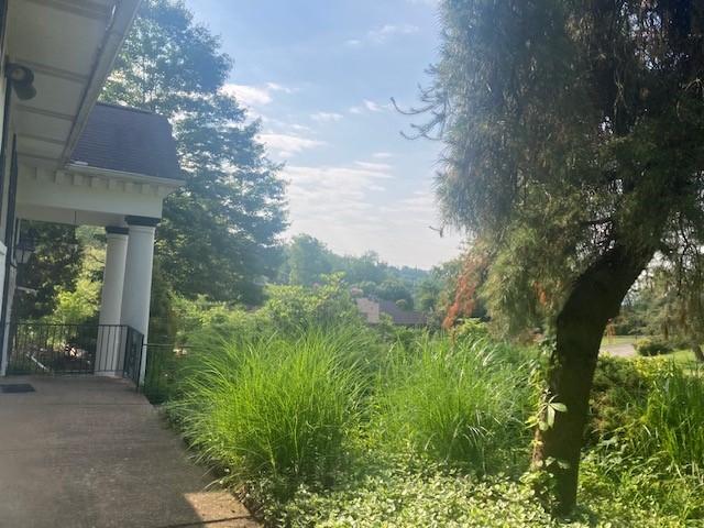 1014 State Rd, Monessen, PA 15062 - view of yard