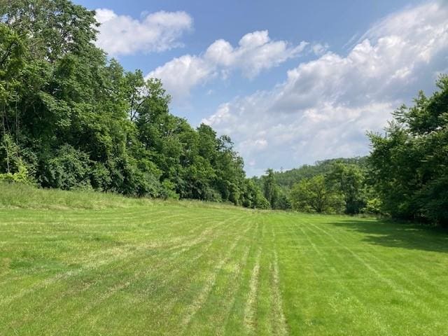 1014 State Rd, Monessen, PA 15062 - view of green lawn featuring a view of trees