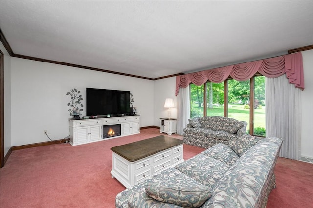 109 Old Hickory Ln, Pine Twp Mer, PA 16127 - living room with carpet flooring, crown molding, and a warm lit fireplace