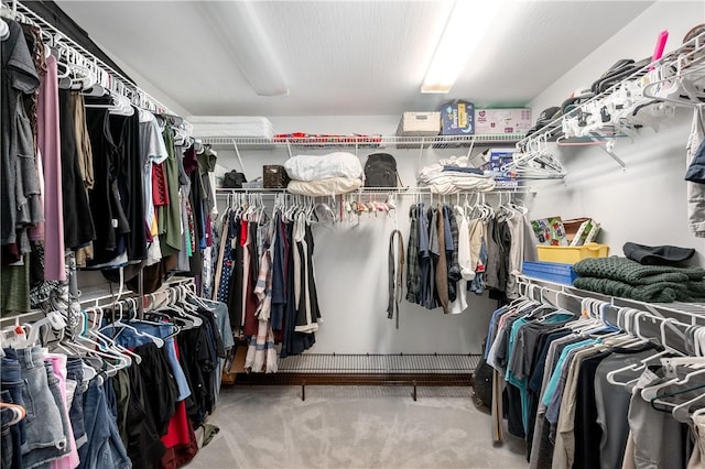 109 Old Hickory Ln, Pine Twp Mer, PA 16127 - spacious closet featuring carpet flooring