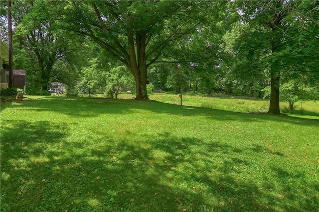 3473 Old Pulaski Rd, Wilmington Twp, PA 16105 - view of grassy yard
