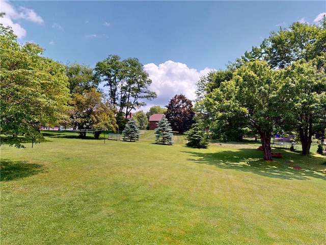 306 Cherokee Dr, Center Twp But, PA 16001 - view of green lawn