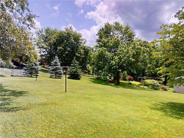 306 Cherokee Dr, Center Twp But, PA 16001 - view of grassy yard with view of scattered trees