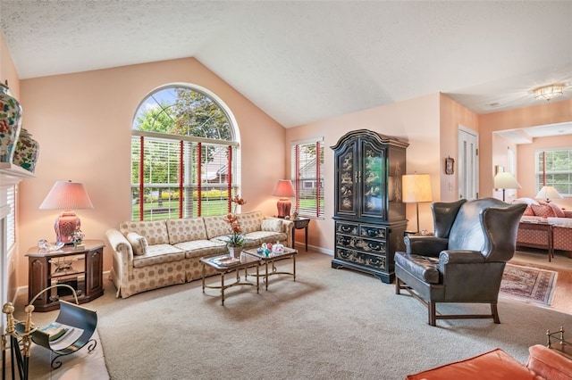 6422 Jefferson Pointe Cir, Jefferson Hills, PA 15025 - carpeted living room featuring vaulted ceiling and baseboards