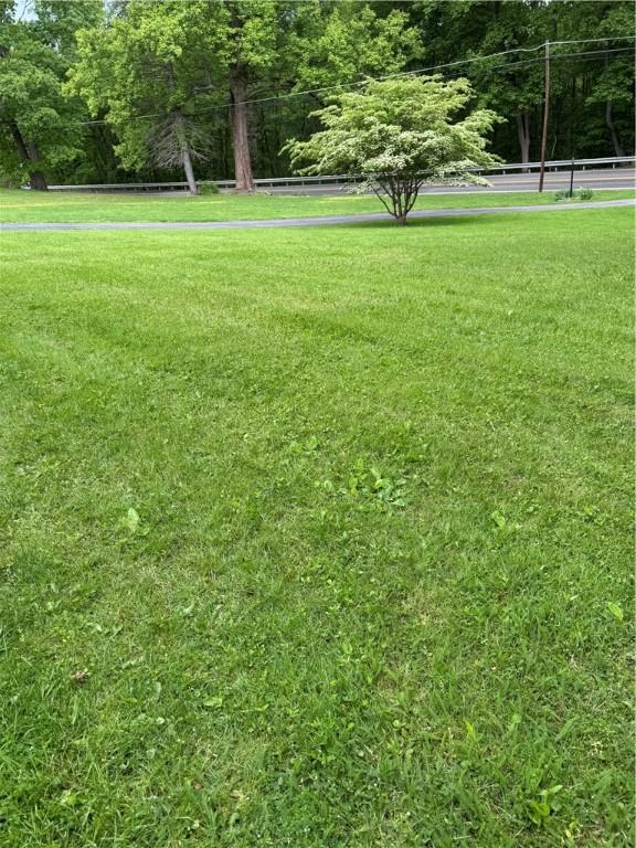 718 State Route 208, Pulaski Twp Law, PA 16143 - view of green lawn