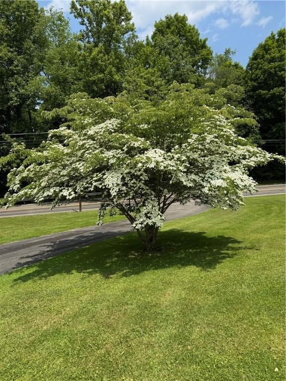 718 State Route 208, Pulaski Twp Law, PA 16143 - view of front facade featuring a front lawn