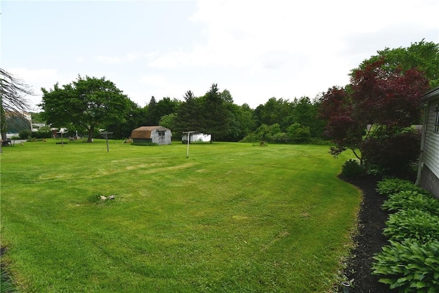 794 Mercer Rd, Center Twp But, PA 16001 - view of grassy yard featuring a storage unit