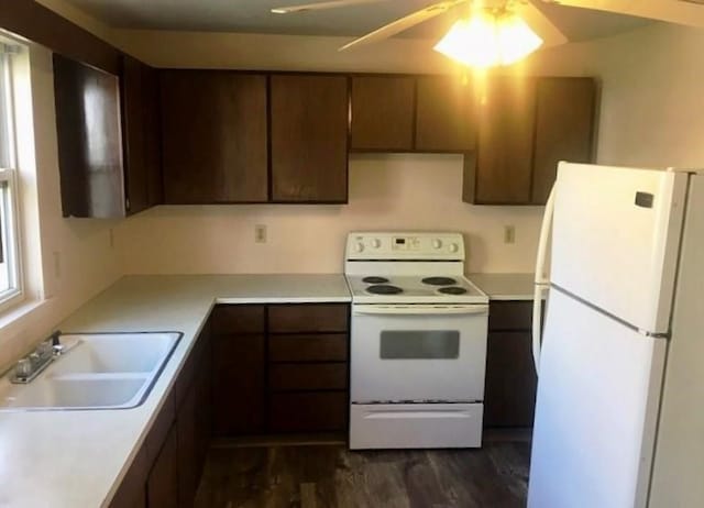 244 W Venango St, Mercer Boro Mer, PA 16137 - kitchen with white appliances, dark wood-type flooring, light countertops, and a ceiling fan