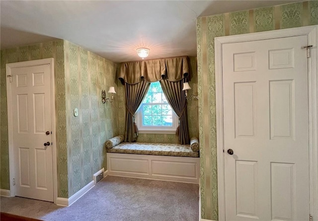 1374 Navahoe Dr, Mt Lebanon, PA 15228 - photo 18