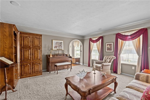 488 Shelbourne, Plum Boro, PA 15239 - photo 8