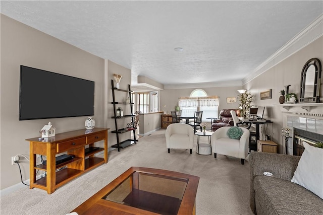 488 Shelbourne, Plum Boro, PA 15239 - photo 27
