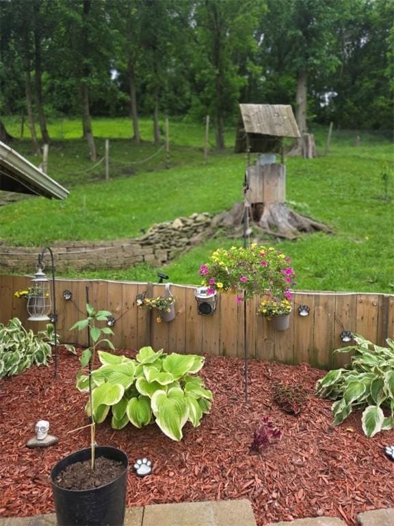 1243 2nd St, Brownsville, PA 15417 - view of yard