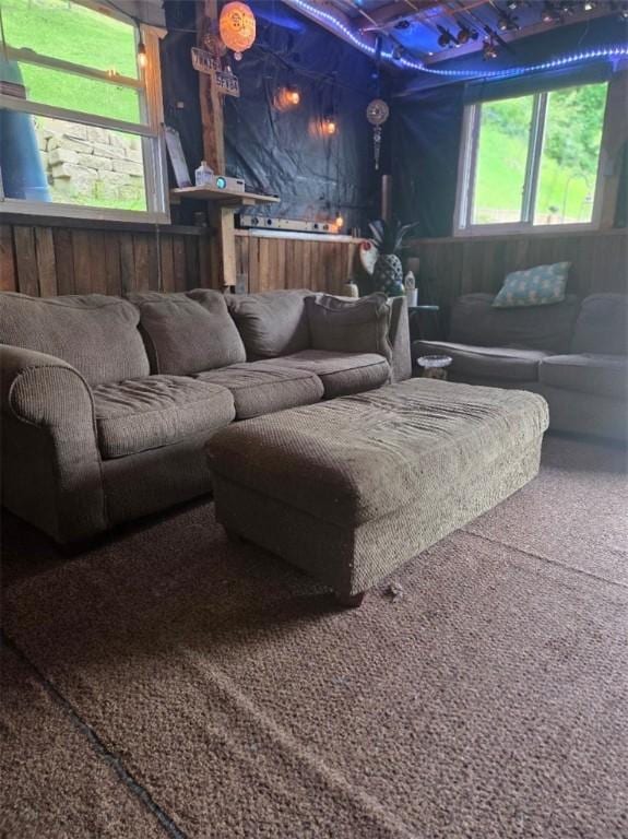 1243 2nd St, Brownsville, PA 15417 - view of carpeted living area
