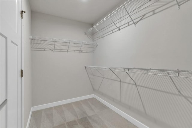 313 Camden Dr, Lehigh Twp, PA 16063 - walk in closet featuring carpet flooring