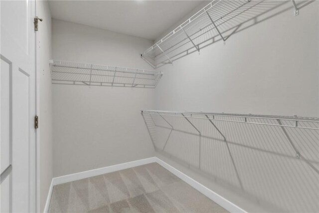 313 Camden Dr, Jackson Twp, PA 16063 - photo 22