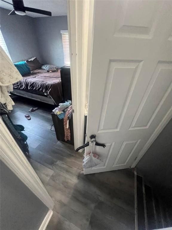 3539 York St, Munhall, PA 15120 - bedroom with wood finished floors and a ceiling fan