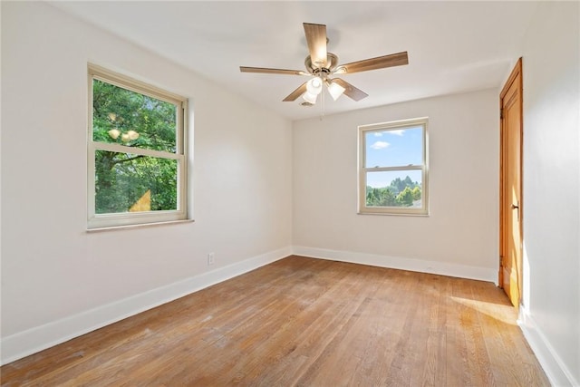 112 Taylor Run Rd, Monongahela, PA 15063 - empty room featuring plenty of natural light, light wood-type flooring, and ceiling fan