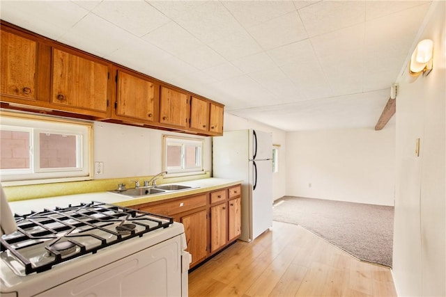 501 Bay, Stonycreek Twp, PA 15902 - kitchen featuring white appliances, brown cabinetry, light countertops, light wood-style floors, and light colored carpet