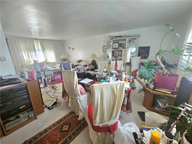 4717 Coleridge St, Stanton Heights, PA 15201 - living area featuring carpet flooring