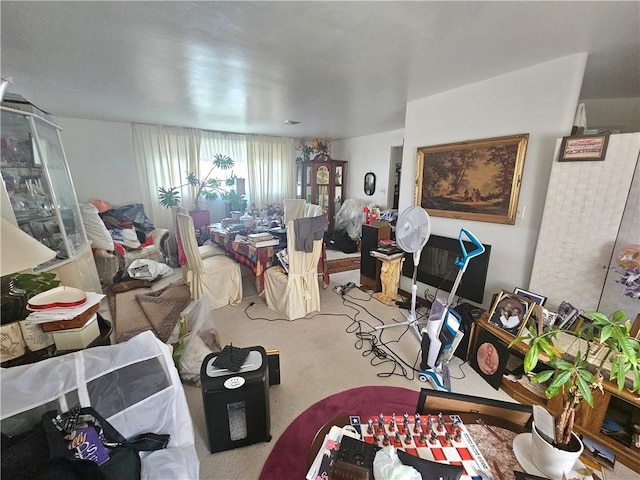 4717 Coleridge St, Stanton Heights, PA 15201 - living area featuring carpet