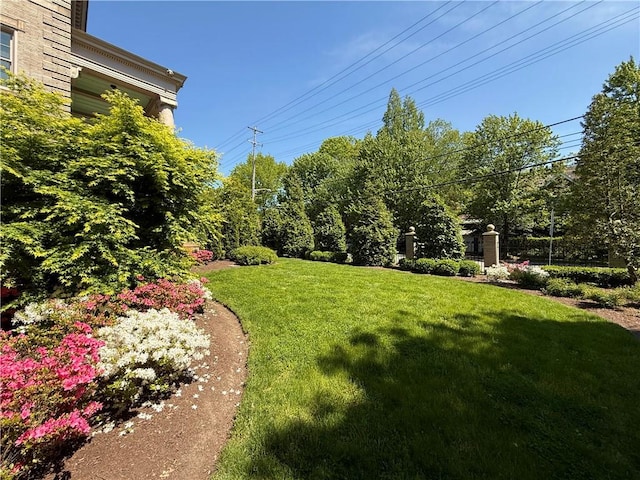5135 Ellsworth Ave, Shadyside, PA 15232 - photo 36