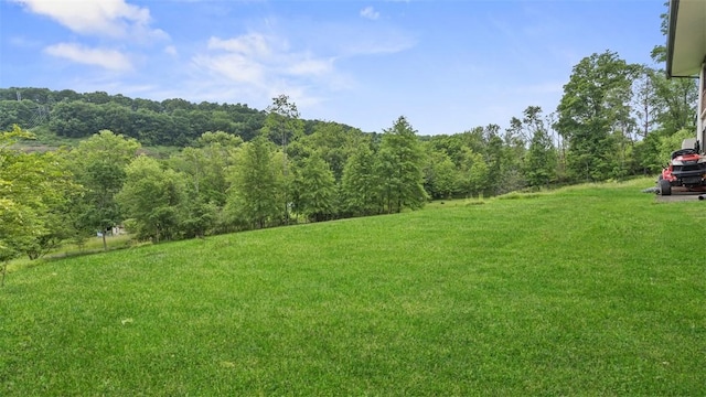 1451 Keystone St, Natrona Hts/Harrison Twp, PA 15065 - view of green lawn featuring a view of trees