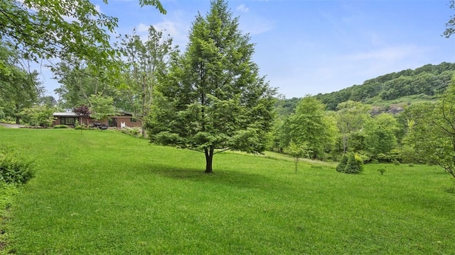 1451 Keystone St, Natrona Hts/Harrison Twp, PA 15065 - view of grassy yard featuring a wooded view