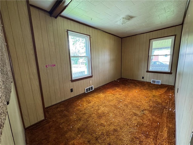 3112 Ridge Ave, Hopewell Twp Bea, PA 15001 - empty room with plenty of natural light, carpet, and wood walls