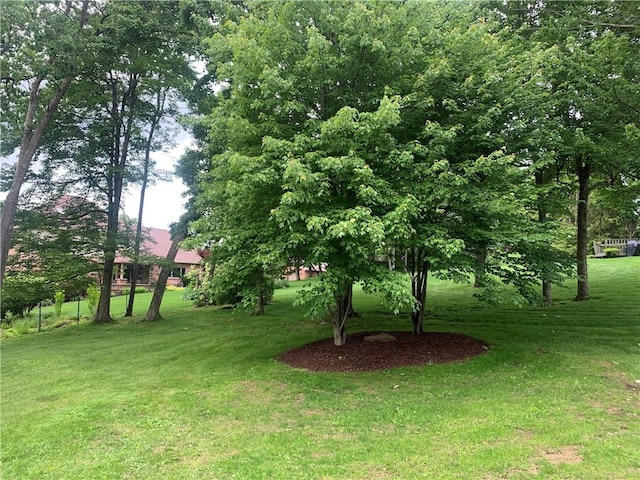 306 Marigold Dr, Unity Twp, PA 15601 - view of grassy yard
