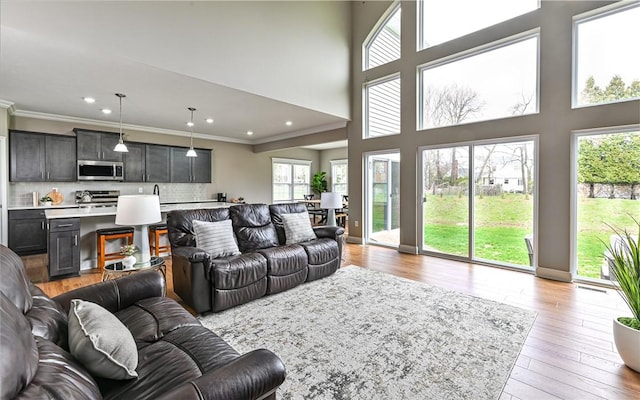 1191 Brook View Ct, Mccandless, PA 15237 - living area featuring ornamental molding, light wood-style flooring, and recessed lighting