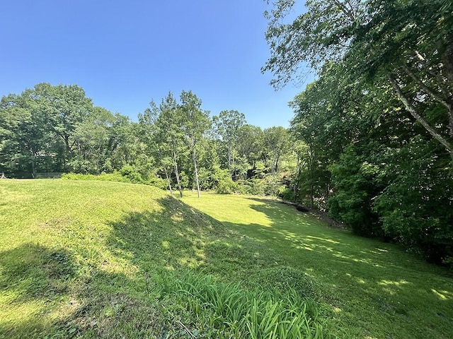 155 Broadbent Rd, Ohio Twp, PA 15143 - view of grassy yard featuring a view of trees