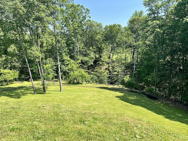 155 Broadbent Rd, Ohio Twp, PA 15143 - view of green lawn