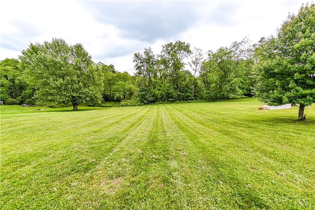 167 Brushwood Rd, Uniontown, PA 15401 - photo 41