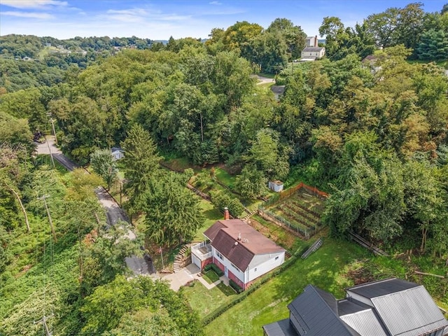 737 Spring Grove Rd, Ohara, PA 15215 - view from above of property with a heavily wooded area