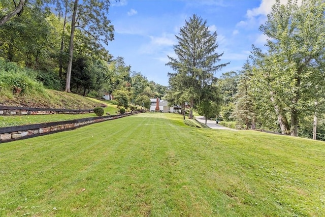 737 Spring Grove Rd, Ohara, PA 15215 - view of home's community featuring a yard