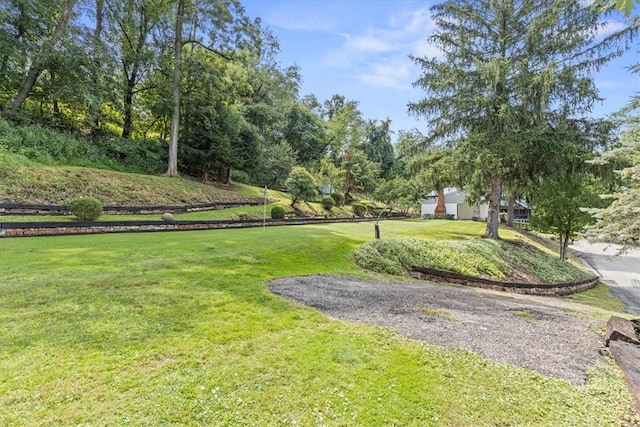 737 Spring Grove Rd, Ohara, PA 15215 - view of property's community with a yard