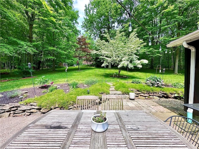 315 Lake Dr, Neshannock Twp, PA 16105 - view of patio