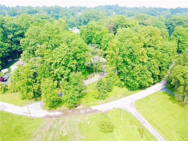 315 Lake Dr, Neshannock Twp, PA 16105 - aerial view of a forest