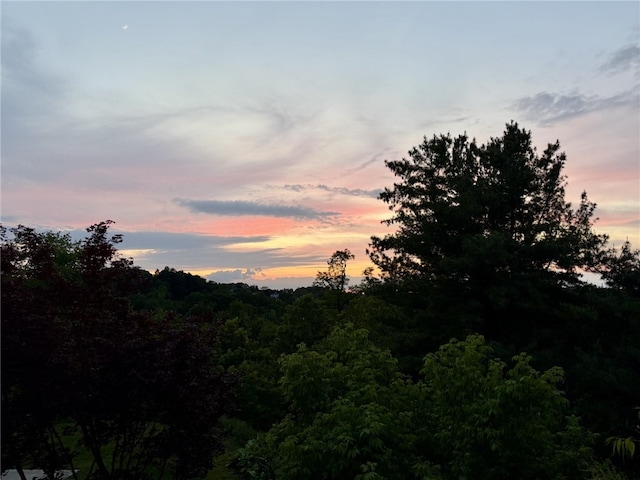 108 Mary St, Ross Twp, PA 15214 - nature at dusk featuring a forest view
