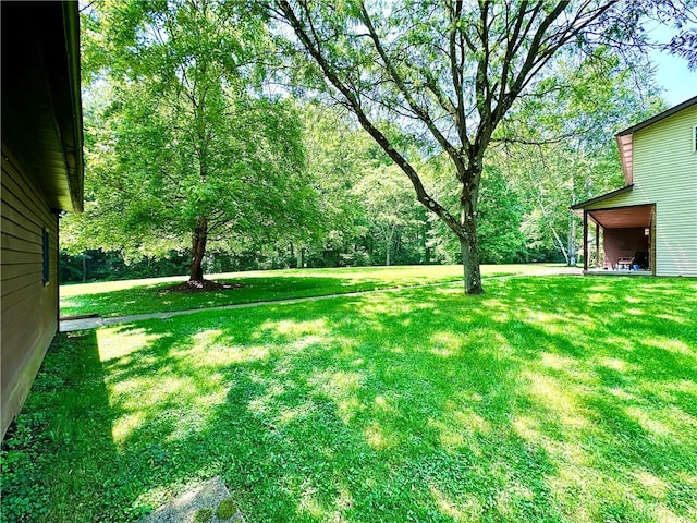 752 Covered Bridge Rd, Wilmington Twp, PA 16156 - photo 40