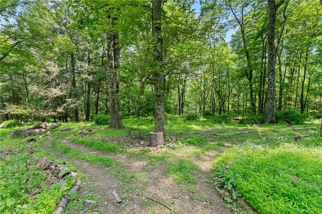 4077 Clarkland Ave, Hampton, PA 15101 - view of tree filled area