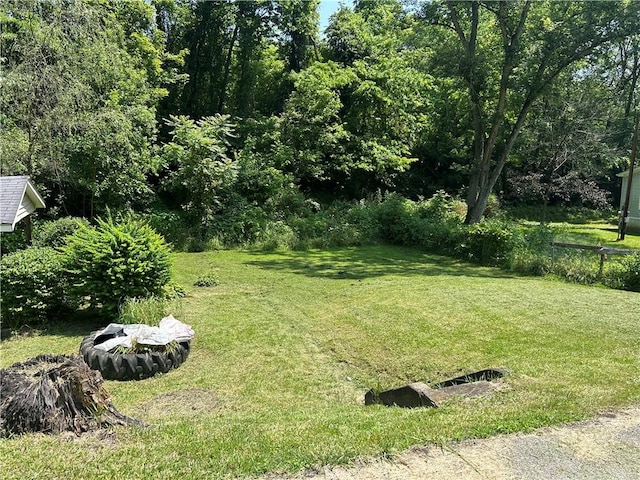 19 Wickhaven Hollow Rd, Perry Twp Fay, PA 15492 - view of green lawn