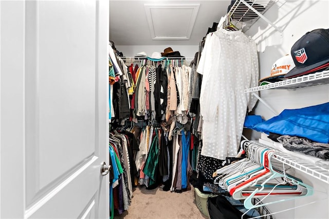 159 Horseshoe Dr, North Fayette, PA 15071 - spacious closet with attic access and carpet flooring