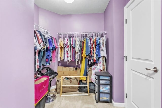2972 Cross Creek Ct, Hampton, PA 15044 - spacious closet with carpet flooring