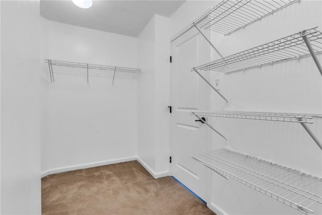 2972 Cross Creek Ct, Hampton, PA 15044 - photo 29
