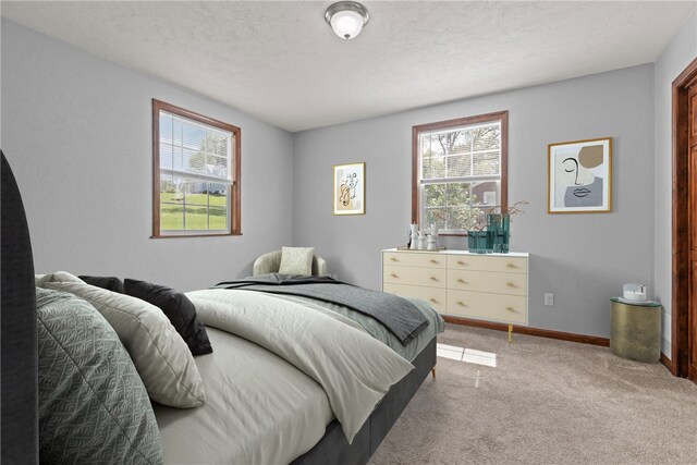 11400 Guffey Rillton Rd, Irwin, PA 15642 - photo 15