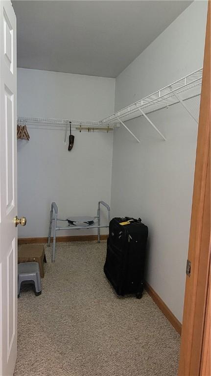 287 School Ave, Conemaugh Twp Som, PA 15937 - spacious closet featuring carpet